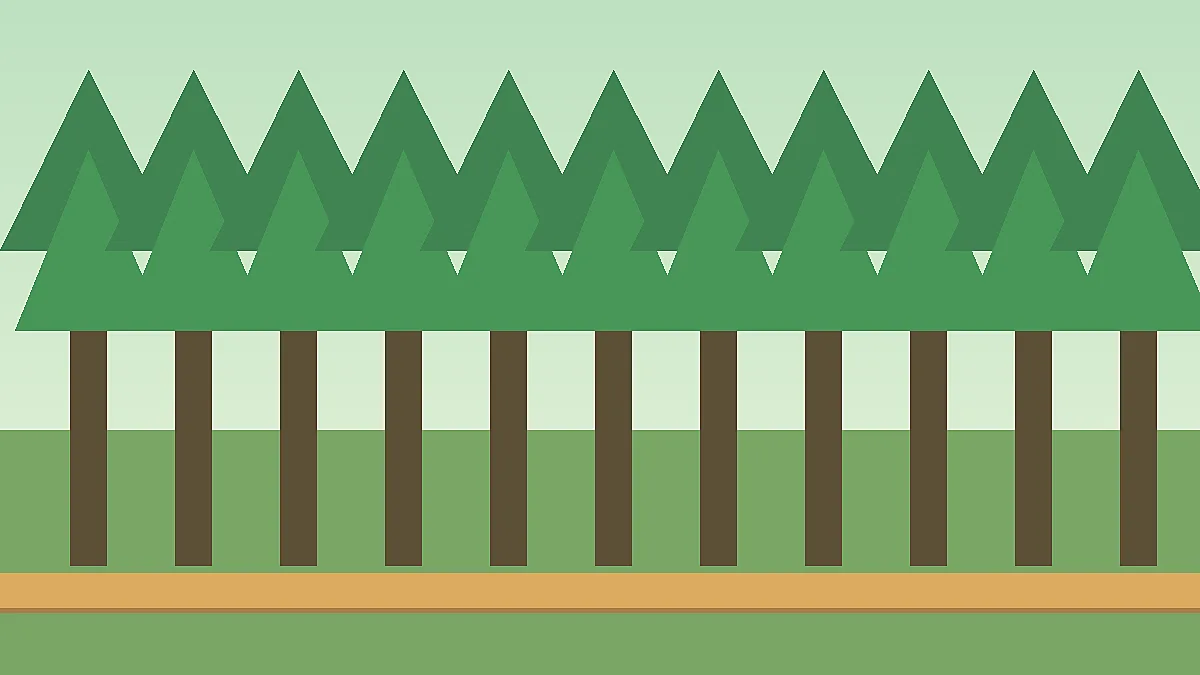 사려니숲길 산책 코스, 비 오는 날에도 무리 없는 숲길 기준를 설명하는 제주 여행 일러스트